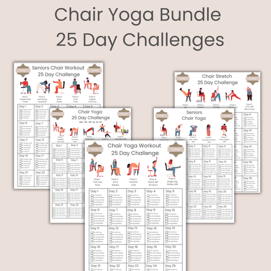 Chair Workout Bundle 25 Day Challenge